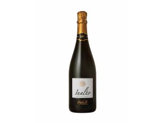 ALTA LANGA BRUT Cantina Tre Secoli CL.75   